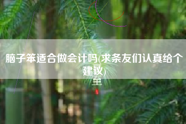 详细阅读:脑子笨适合做会计吗(求条友们认真给个建议) 脑子笨适合做会计吗(求条友们认真给个建议)