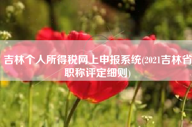 详细阅读:吉林个人所得税网上申报系统(2021吉林省职称评定细则) 吉林个人所得税网上申报系统(2021吉林省职称评定细则)