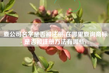 查公司名字是否被注册(在哪里查询商标是否被注册方法有哪些)