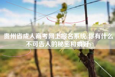 贵州省成人高考网上报名系统(你有什么不可告人的秘密和癖好)