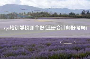 cpa培训学校哪个好(注册会计师好考吗)