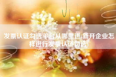 发票认证勾选平台从哪里进(新开企业怎样进行发票认证勾选)