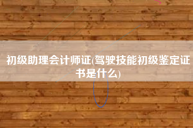 初级助理会计师证(驾驶技能初级鉴定证书是什么)