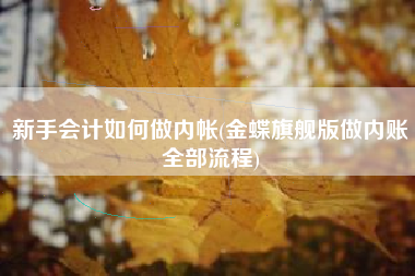 新手会计如何做内帐(金蝶旗舰版做内账全部流程)