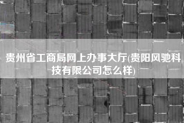 贵州省工商局网上办事大厅(贵阳风驰科技有限公司怎么样)
