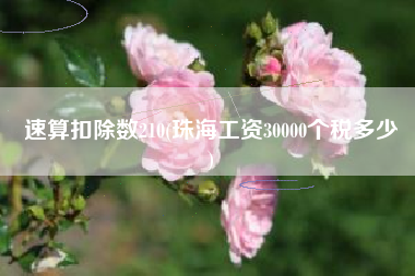 速算扣除数210(珠海工资30000个税多少
)