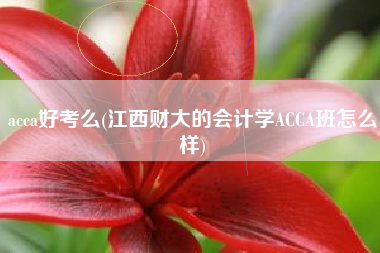 acca好考么(江西财大的会计学ACCA班怎么样)