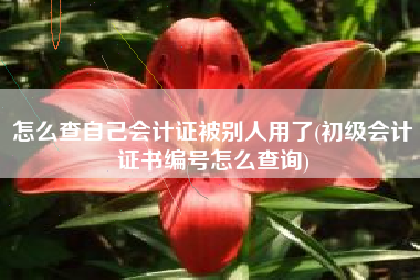 详细阅读:怎么查自己会计证被别人用了(初级会计证书编号怎么查询) 怎么查自己会计证被别人用了(初级会计证书编号怎么查询)
