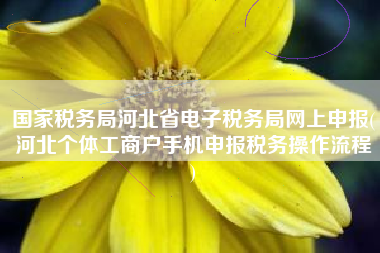 国家税务局河北省电子税务局网上申报(河北个体工商户手机申报税务操作流程
)
