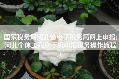 国家税务局河北省电子税务局网上申报(河北个体工商户手机申报税务操作流程
)