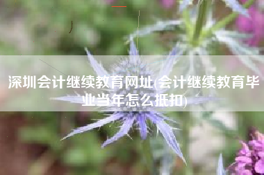 详细阅读:深圳会计继续教育网址(会计继续教育毕业当年怎么抵扣) 深圳会计继续教育网址(会计继续教育毕业当年怎么抵扣)