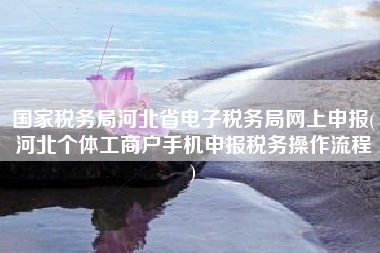 国家税务局河北省电子税务局网上申报(河北个体工商户手机申报税务操作流程
)