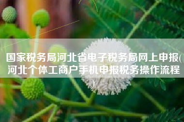 国家税务局河北省电子税务局网上申报(河北个体工商户手机申报税务操作流程
)