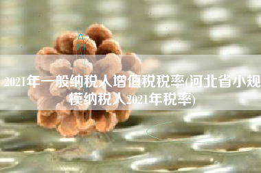 详细阅读:2021年一般纳税人增值税税率(河北省小规模纳税人2021年税率) 2021年一般纳税人增值税税率(河北省小规模纳税人2021年税率)