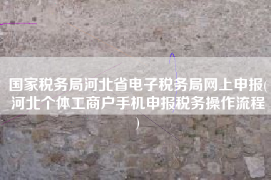 国家税务局河北省电子税务局网上申报(河北个体工商户手机申报税务操作流程
)