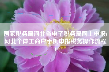 国家税务局河北省电子税务局网上申报(河北个体工商户手机申报税务操作流程
)