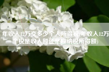 详细阅读:年收入12万交多少个人所得税(年收入12万个税是收入额还是应纳税所得额) 年收入12万交多少个人所得税(年收入12万个税是收入额还是应纳税所得额)