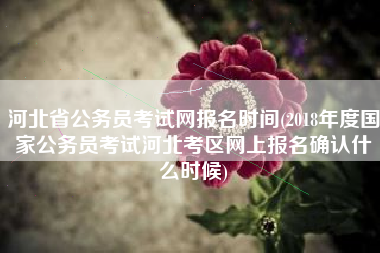 河北省公务员考试网报名时间(2018年度国家公务员考试河北考区网上报名确认什么时候)