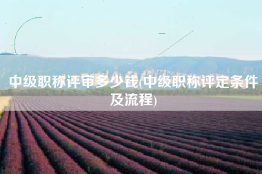 中级职称评审多少钱(中级职称评定条件及流程)