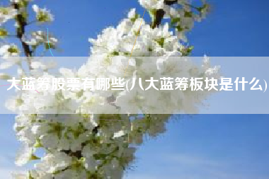 大蓝筹股票有哪些(八大蓝筹板块是什么)