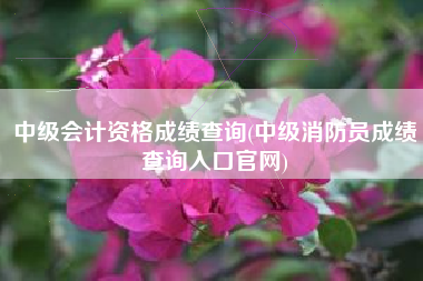 中级会计资格成绩查询(中级消防员成绩查询入口官网)