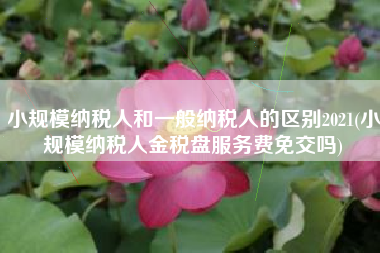 小规模纳税人和一般纳税人的区别2021(小规模纳税人金税盘服务费免交吗)