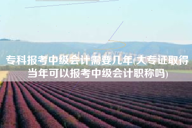 专科报考中级会计需要几年(大专证取得当年可以报考中级会计职称吗)