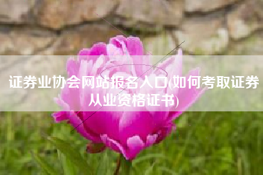 证券业协会网站报名入口(如何考取证券从业资格证书)