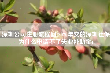 深圳公司注册流程图(2020年交的深圳社保为什么申请不了失业补助金)