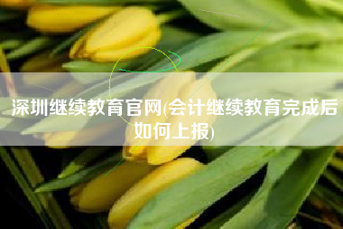 深圳继续教育官网(会计继续教育完成后如何上报)
