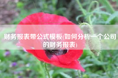 详细阅读:财务报表带公式模板(如何分析一个公司的财务报表) 财务报表带公式模板(如何分析一个公司的财务报表)