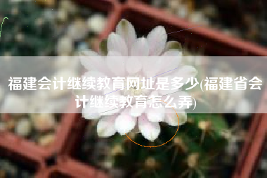 福建会计继续教育网址是多少(福建省会计继续教育怎么弄)