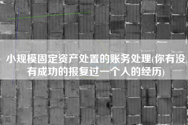 小规模固定资产处置的账务处理(你有没有成功的报复过一个人的经历)