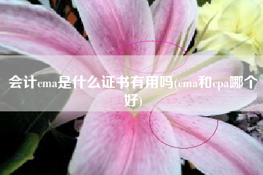 会计cma是什么证书有用吗(cma和cpa哪个好)