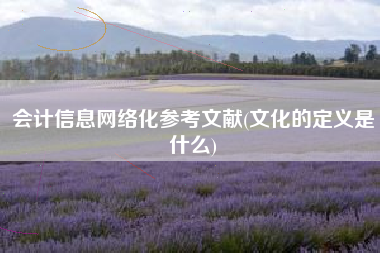 会计信息网络化参考文献(文化的定义是什么)