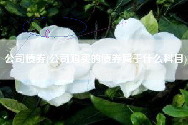 公司债券(公司购买的债券属于什么科目)