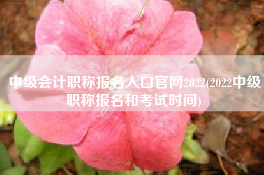 中级会计职称报名入口官网2022(2022中级职称报名和考试时间)