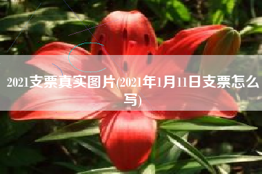 2021支票真实图片(2021年1月11日支票怎么写)