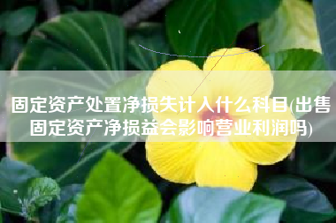 固定资产处置净损失计入什么科目(出售固定资产净损益会影响营业利润吗)