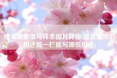 详细阅读:现金支票填写样本图片背面(现金支票的用途能一栏能写哪些用途) 现金支票填写样本图片背面(现金支票的用途能一栏能写哪些用途)