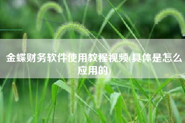 详细阅读:金蝶财务软件使用教程视频(具体是怎么应用的) 金蝶财务软件使用教程视频(具体是怎么应用的)