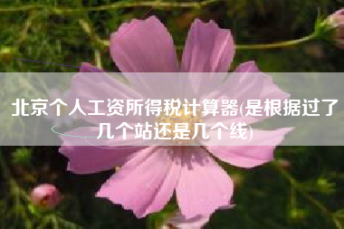 北京个人工资所得税计算器(是根据过了几个站还是几个线)
