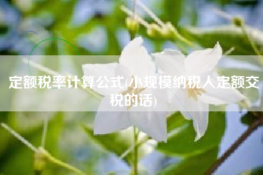 定额税率计算公式(小规模纳税人定额交税的话)