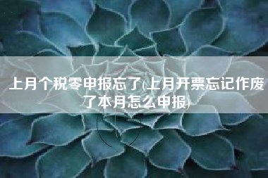 上月个税零申报忘了(上月开票忘记作废了本月怎么申报)