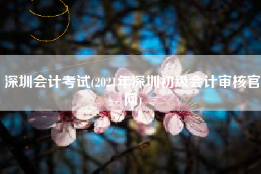 深圳会计考试(2021年深圳初级会计审核官网)