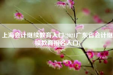 上海会计继续教育入口(2021广东省会计继续教育报名入口)