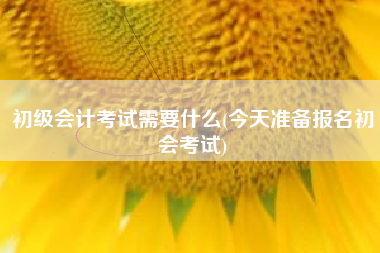 初级会计考试需要什么(今天准备报名初会考试)