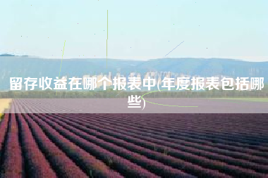 留存收益在哪个报表中(年度报表包括哪些)