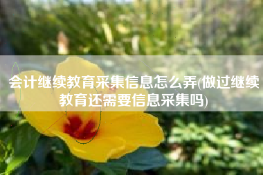 会计继续教育采集信息怎么弄(做过继续教育还需要信息采集吗)