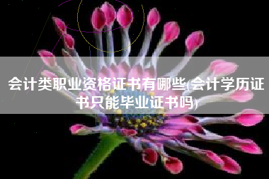 会计类职业资格证书有哪些(会计学历证书只能毕业证书吗)